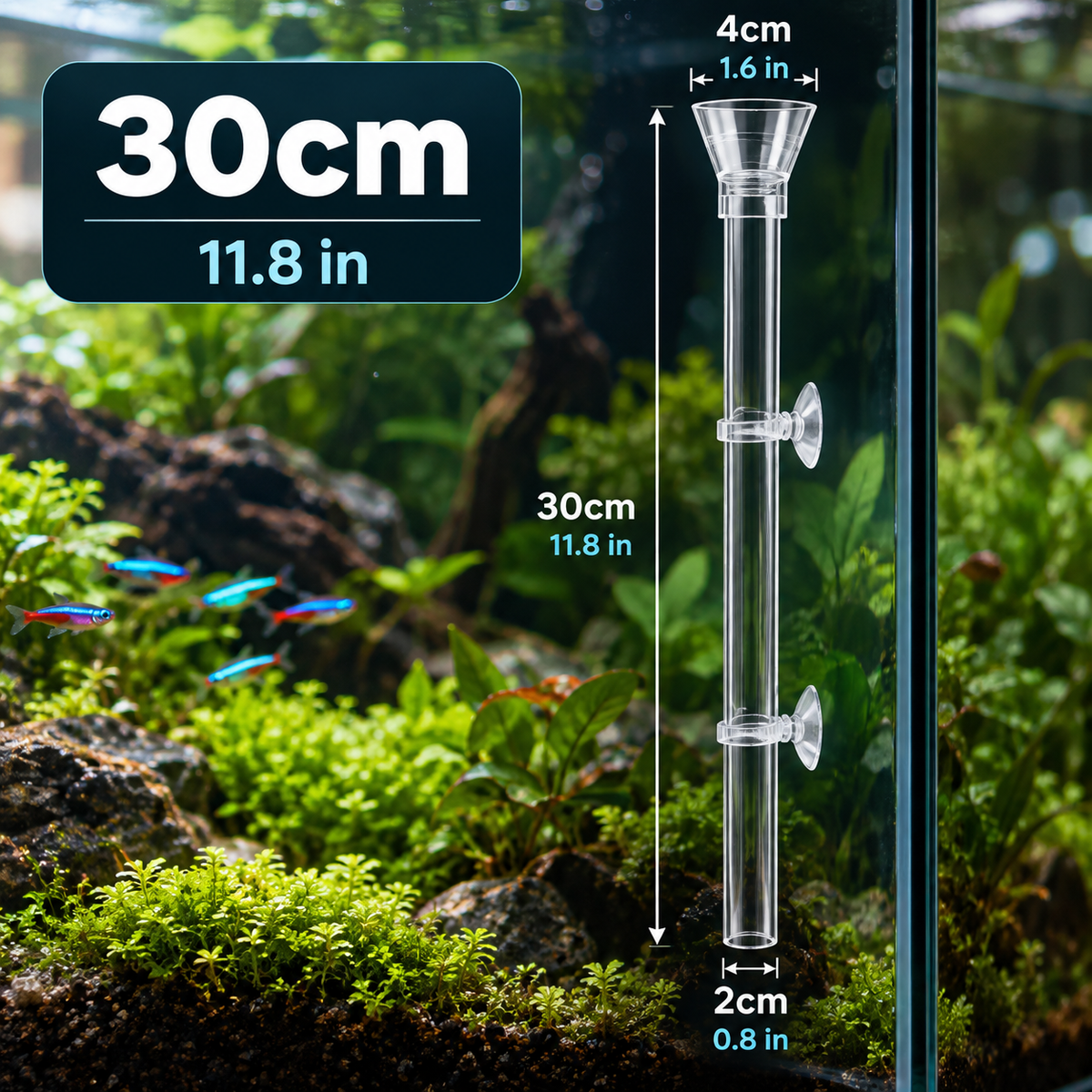 Acrylic Aquarium Feeding Tube & Dish