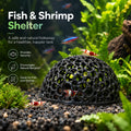 Shrimp Breeding Hideout