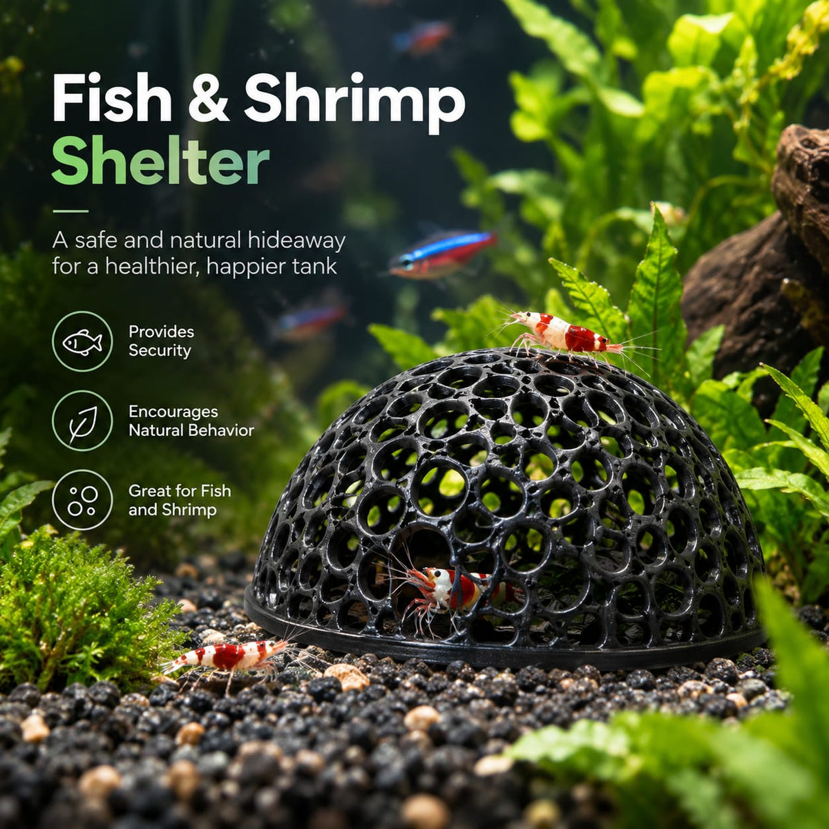 Shrimp Breeding Hideout