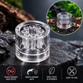 Glass Planaria Trap