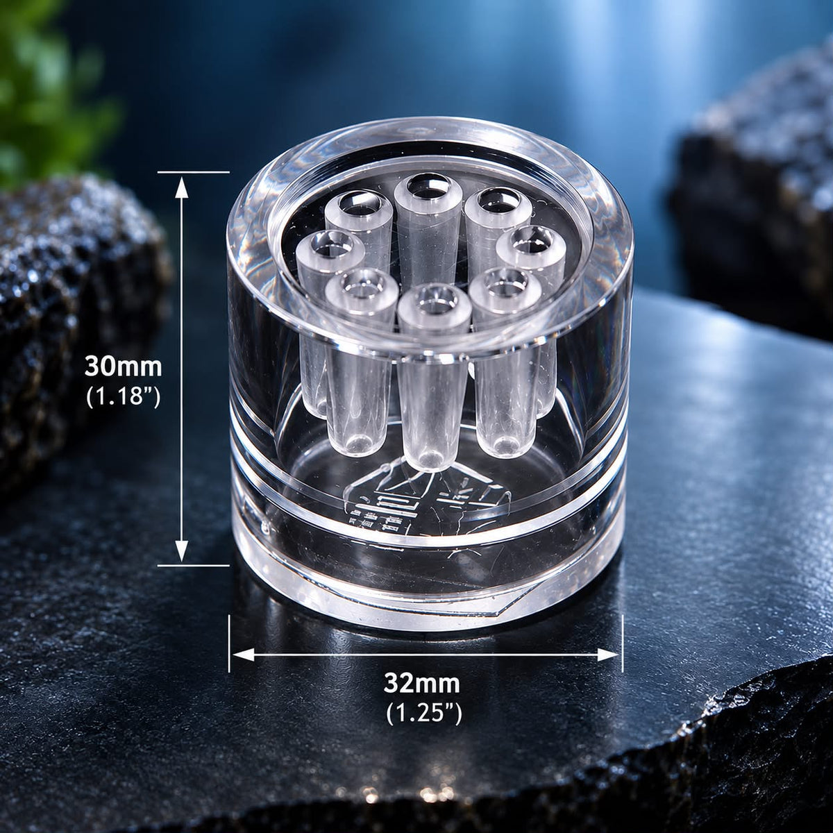 Glass Planaria Trap