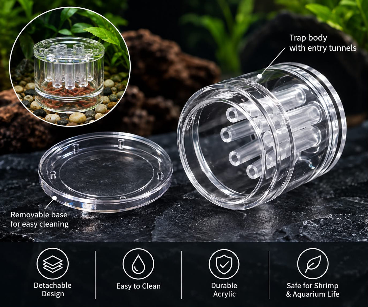 Glass Planaria Trap