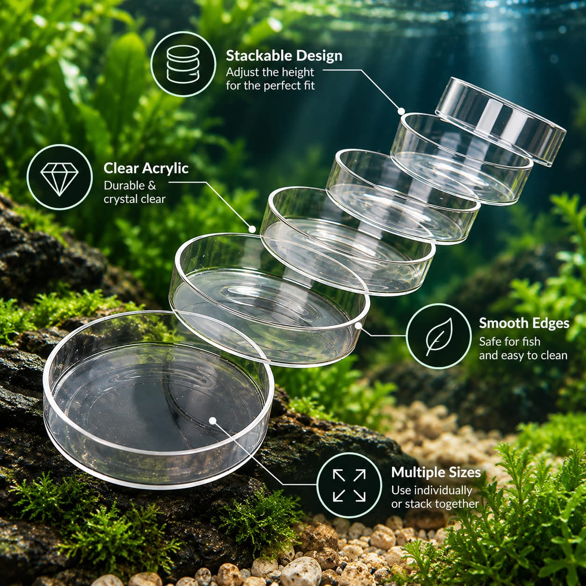 Clear Aquarium Feeding Dish
