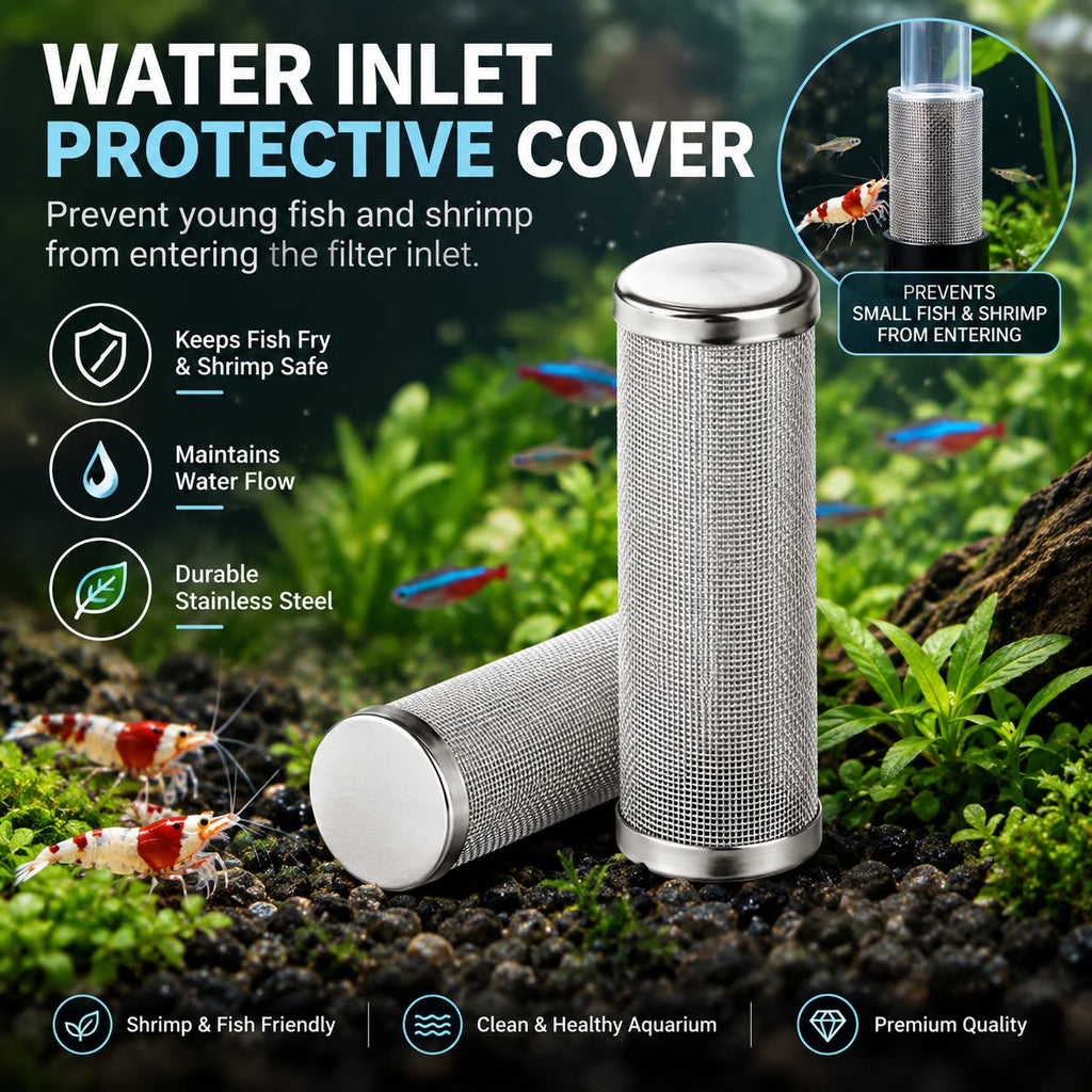Stainless Steel Filter Intake Guard