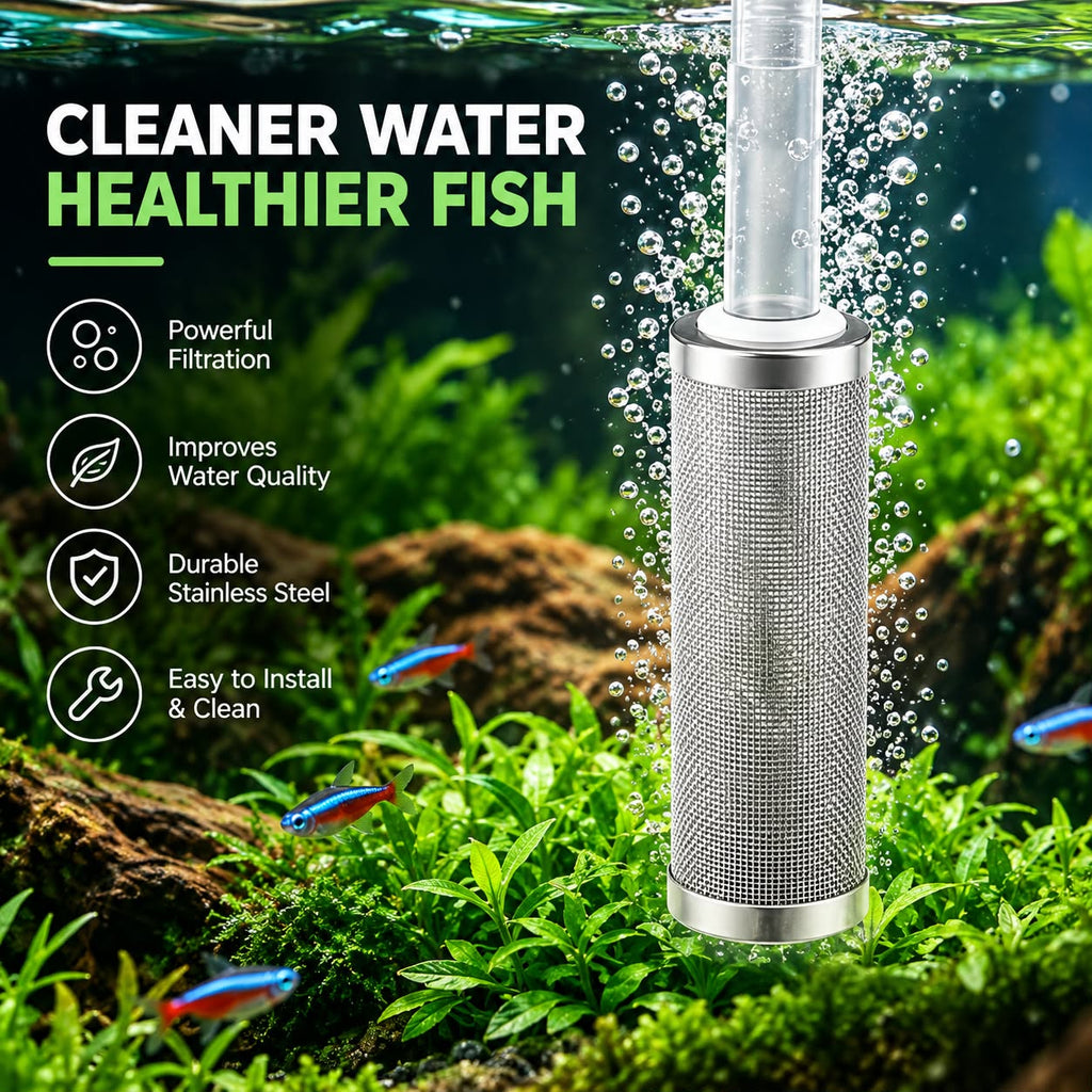 Stainless Steel Filter Intake Guard