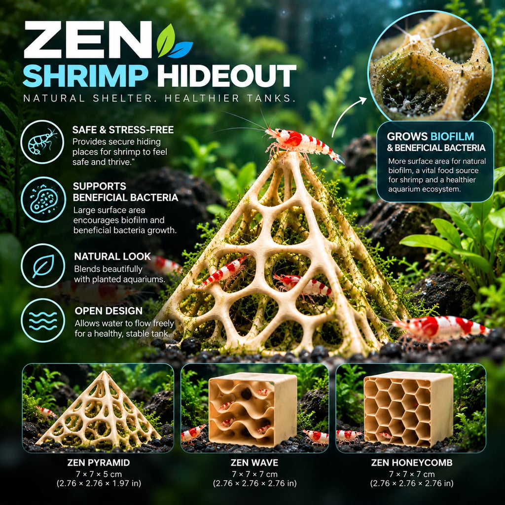 Zen Pyramid Shrimp Hideout