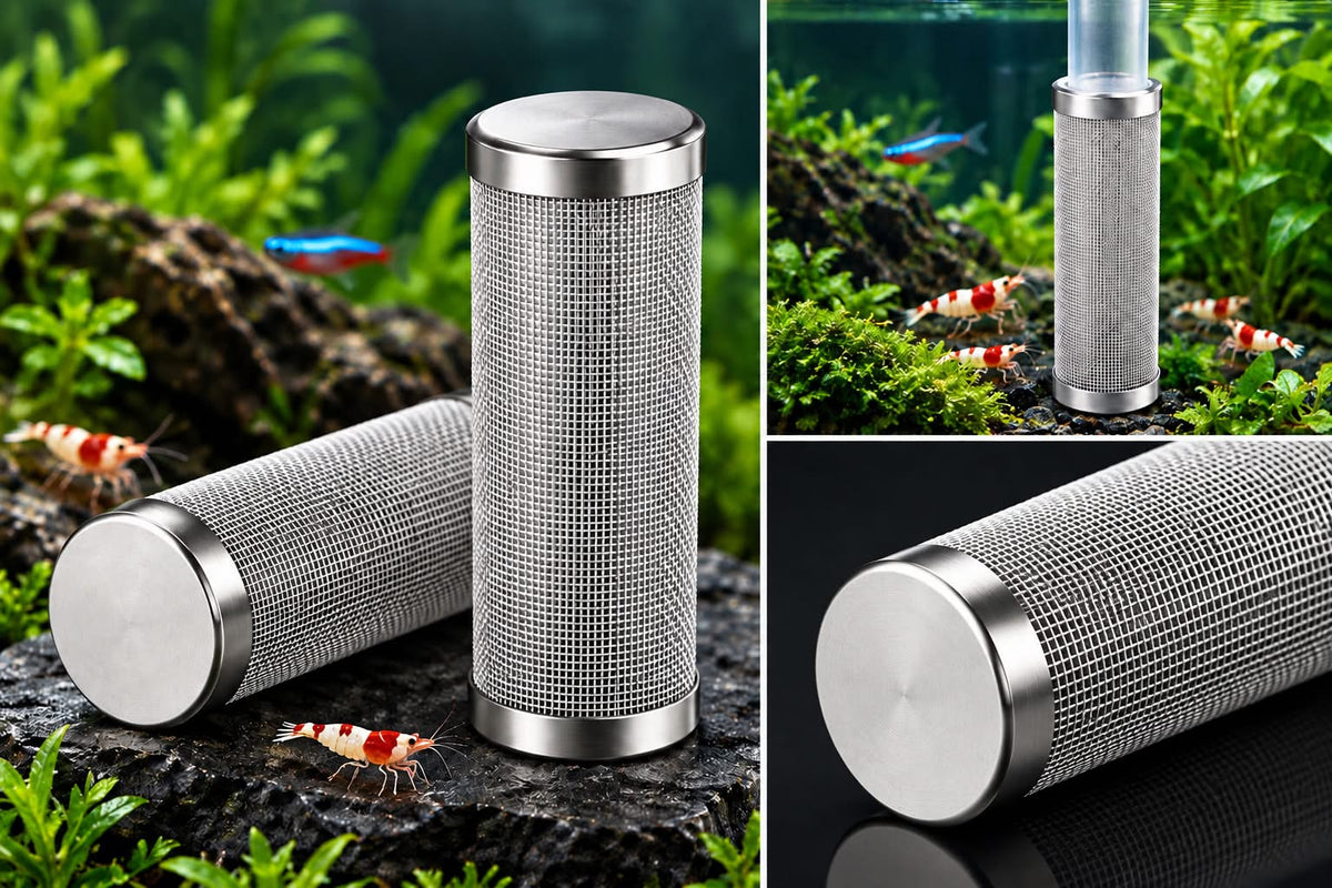Stainless Steel Filter Intake Guard